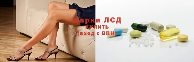 apvp Магас