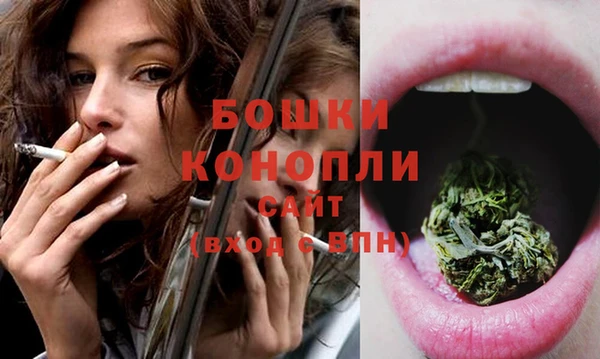 стаф Медногорск