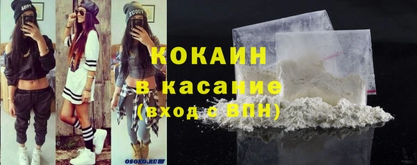 стаф Медногорск